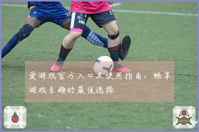 爱游戏官方入口及使用指南，畅享游戏乐趣的最佳选择