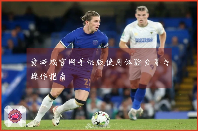 爱游戏官网手机版使用体验分享与操作指南