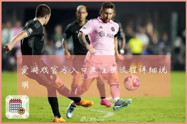 爱游戏官方入口及注册流程详细说明