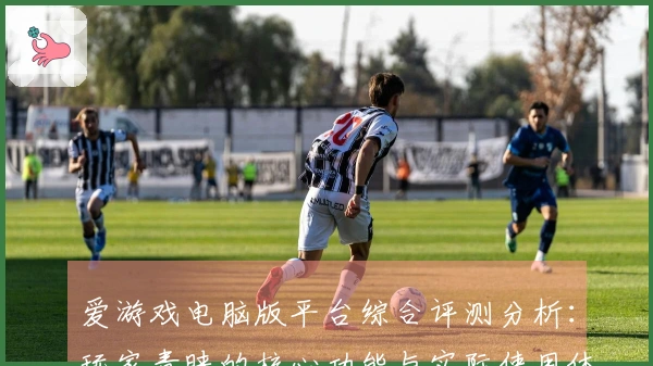 爱游戏电脑版平台综合评测分析：玩家青睐的核心功能与实际使用体验汇总