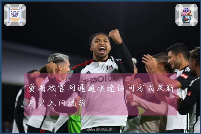 爱游戏官网通道快速访问方式及新用户入门说明